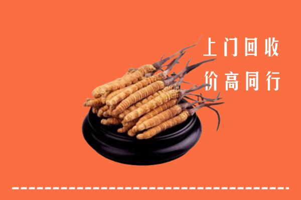 高价求购：九江市彭泽回收散虫草
