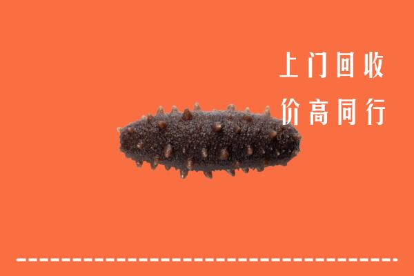 高价求购：九江市彭泽回收海参