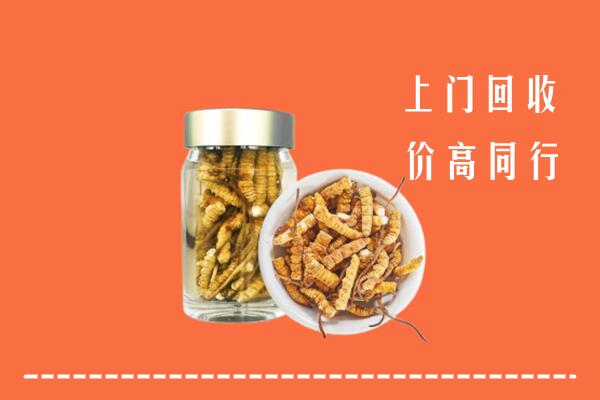 九江市彭泽回收冬虫夏草